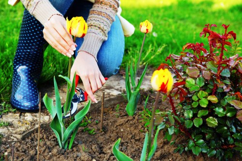 Gardener examining a lawn and making notes during a site visit