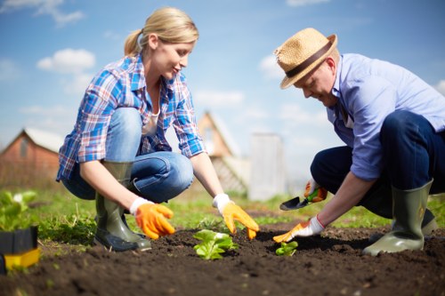 A young woman and an older man are working together in a garden, planting seedlings in recently prepared dark soil. The woman has blonde hair tied back and is wearing a blue plaid shirt, jeans, and yellow gardening gloves, while the man is wearing a light blue shirt, dark trousers, rubber boots, and a straw hat. They are both crouching close to the ground, carefully placing the plants and tending to the garden. Behind them, there is a lush green lawn and a background of partly cloudy sky with natural daylight illuminating the scene. The garden appears to be part of a residential outdoor space, possibly in Chessington, with a neat, well-maintained layout that includes flower beds and grassy areas, typical of local garden care and landscaping services offered by Gardener Chessington. This setup highlights outdoor gardening work, focusing on planting and lawn care activities throughout the year.